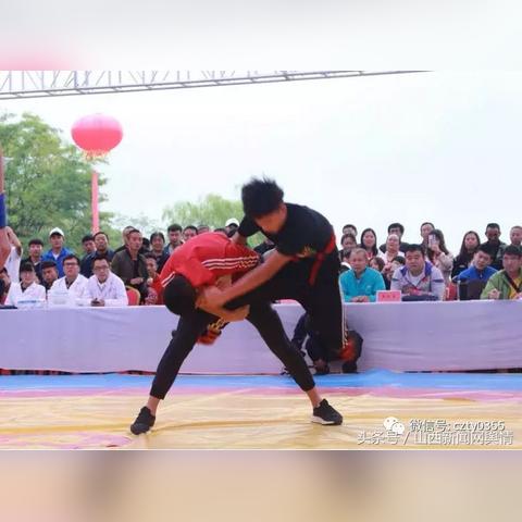 群众摔跤视频盛宴，竞技与娱乐的绝佳融合