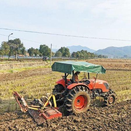 金华义乌生育补贴政策解读,涵盖医疗费用补助、津贴与育儿假等福利措施