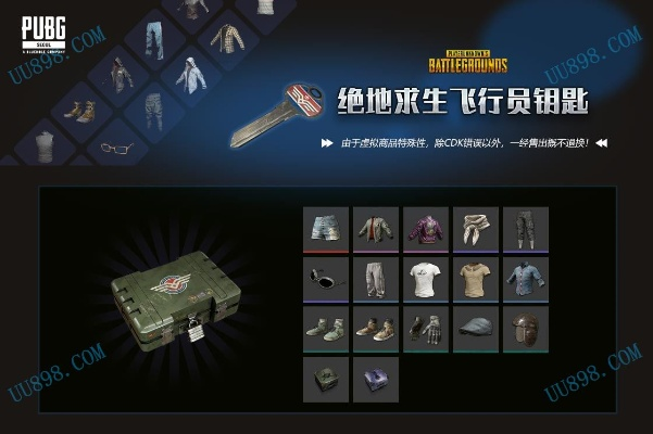 爱奇艺手游平台与绝地求生试玩激活码,权威分析解释定义 超值版_v9.480